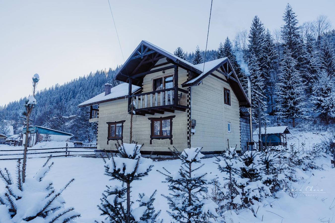 Holiday home 7+я Verkhovyna